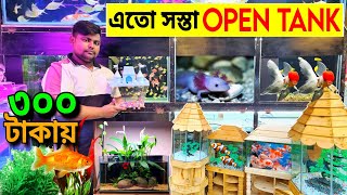 Aquarium Price In Bangladesh। Aquarium Fish Price In Mirpur। Aquarium Fish Price In Bangladesh [upl. by Ariait]