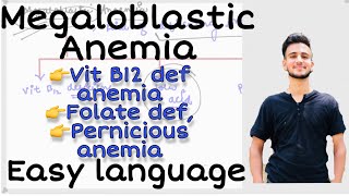 Megaloblastic anemia vitamin B12 deficiency anemia folate deficiency Pernicious anemia anemia [upl. by Nahsrad]