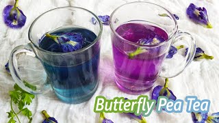 ശംഖുപുഷ്പം ചായ  Butterfly Pea Tea  How to make Butterfly Pea Flower Tea  Butterfly Pea Flower [upl. by Hashimoto51]