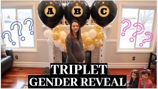 EPIC TRIPLET Gender Reveal  1 IN 30000 CHANCE [upl. by Arbmahs]