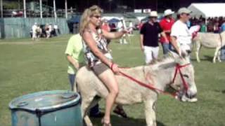 Donkey Derby Crucian Christmas Festival [upl. by Anelrats54]