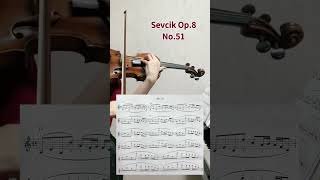 Sevcik Op851 violin violinist [upl. by Parry]