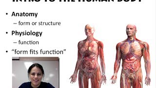 Intro to the Human Body Unit 1  Video 1 [upl. by Kcirdderf]