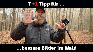 7 Tipps für eine bessere Waldfotografie [upl. by Auof]