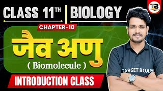 जैव अणु  Biomolecules  Biology Class 11th Chapter 10 Bihar Board  Class 11th Biology Chapter 10 [upl. by Nrehtac]