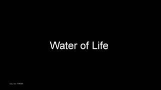 Water of Life BBC Come and Praise with lyrics [upl. by Hallimaj]