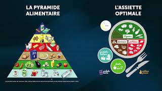 Les groupes d’aliments amp l’équilibre alimentaire [upl. by Ibrahim]