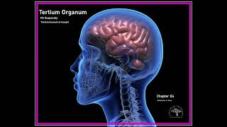 Tertium Organum ch04 [upl. by Edie220]