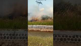 BAKARBAKAR LADANG PERSAWAHAN [upl. by Dill411]