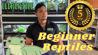 Top 5 Beginner Reptiles For New Soon To Be Reptile Owners [upl. by Lybis]