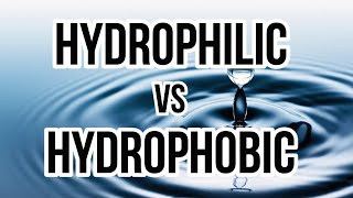 Hydrophilic vs Hydrophobic [upl. by Eul]