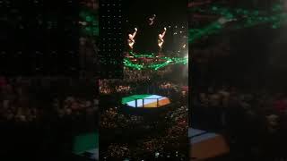 Sinead oconnor foggy dew UFC 189 Conor Mcgregor MGM Las Vegas [upl. by Nesaj]