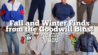 Huge Goodwill Bins Fall amp Winter Haul  Is Shopping at the Goodwill Bins Worth it iconic finds [upl. by Solokin131]