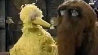 Sesame Street  Episode 1706 street scenes 23 [upl. by Avrenim]