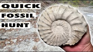 Quick Fossil Hunt for Ammonite fossils in a North Texas Creek  Oct 2023 fossilhunting [upl. by Ardnusal]