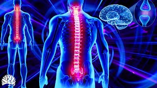 528hz Super Recovery Healing Frequency Whole Body RegenerationCell Nerve Damage Repair Healing [upl. by Sallie]