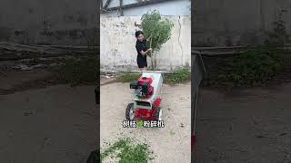 Portable tree branch shredder [upl. by Burny]