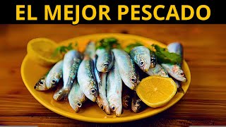 DEBES COMER más SARDINAS por ESTO  7 Grandes beneficios [upl. by Dirgis]