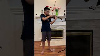 lalo symphonie espagnole 1st movement violin solo [upl. by Iaht]