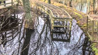 Die Vogelkoje auf Amrum [upl. by Ginelle]