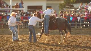 Wild Horse Race [upl. by Beeson]