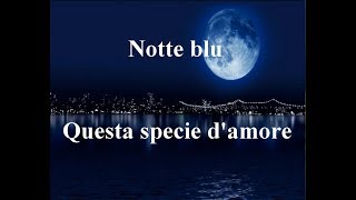 Questa specie damore  Notte blu [upl. by Inajna]