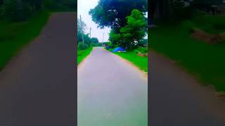 stuts video sohrts WhatsApp bawnloadharyale youtudesearch🙏🙏🙏😎 [upl. by Pallaten]