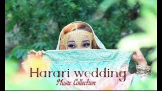 Abulu New Harari Wedding Music Ethiopian Harari wedding music aruz faqar Audio 3 [upl. by Novert]