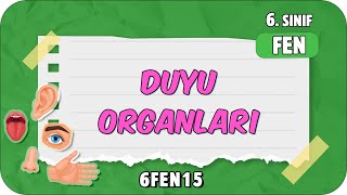 Duyu Organları 📗 tonguçCUP 4Sezon  6FEN15 2024 [upl. by Tamarra]