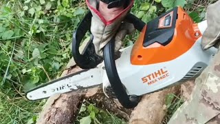 230 motosega a batteria STIHL MSA 140C taglio di due piante do Olmo ormai secCHE [upl. by Philipines]