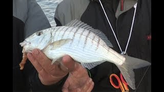 Trabucco TV  Surfcasting  Piccole spiagge [upl. by Brigitta]