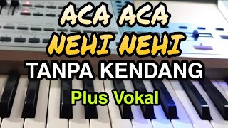 ACA ACA NEHI NEHI  KOPLO TANPA KENDANG  PLUS VOKAL [upl. by Swiercz]