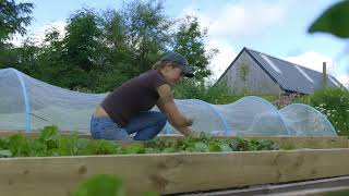 🔴 Gardeners World 2023  🍀This Impressive Kitchen Garden Grows 80 of Their Vegetables Using No [upl. by Arytas]