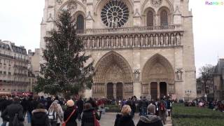 All bells ringing at Notre Dame Cathedral in Paris [upl. by Anana337]