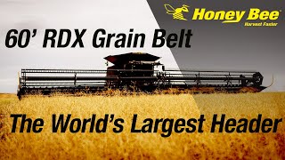 THE WORLDS LARGEST HEADER  60 Honey Bee RDX Grain Belt  Demo [upl. by Vina370]