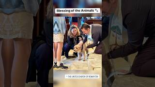 Such a joyous “Blessing of the Animals” at the United Church of Rowayton UCRowaytonorg rowayton [upl. by Adniram]