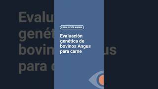 Evaluación genética de bovinos Angus [upl. by Chane]