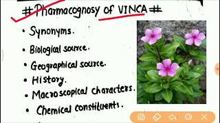 Pharmacognosy of Vinca  Catharanthus roseus  Pharmacy [upl. by Legir]