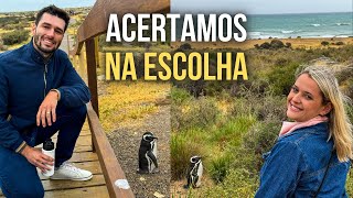 A MELHOR PINGUINERA DA PATAGÔNIA  PUNTA TOMBO  ARGENTINA [upl. by Eirrab]