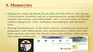 Lecture on Monocytes in Hindi or Urdu language [upl. by Melly491]