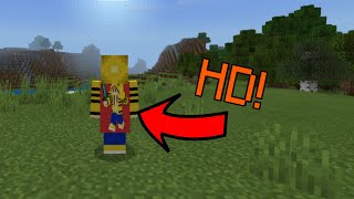 Minecraft Bedrock Edition  HD Capes Preview [upl. by Vasilek]