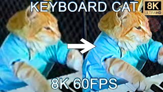 KEYBOARD CAT 8K 60 FPS УЛУЧШЕННЫЙ МЕМ🎹🎹🎹 [upl. by Odlabu]