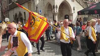 Processie van plaisance Geraardsbergen 27082023 [upl. by Ontine]