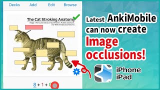 AnkiMobile can now create Image occlusions  Image cloze deletions for iPone and iPad [upl. by Llezom]