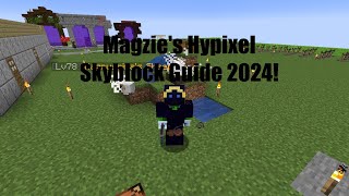 Going Over My Raider Build EP7 Magzies Hypixel Skyblock Guide For 2024 [upl. by Kordula16]