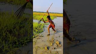 Amazing Teta Fishing ❤️‍🩹rural bill fishing fishing fish shortsviral [upl. by Appolonia]