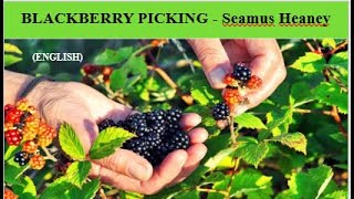 Blackberry Picking by Seamus Heaney English blackberrypickingpoemseamusheaneysummaryanalysis [upl. by Ilke800]