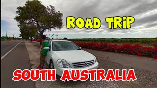 Road Trip South Australia 🦘 [upl. by Ahsikahs]