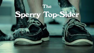 2022 Sperry TopSider Review Leather Conditioning 15 year old pair [upl. by Tullus668]