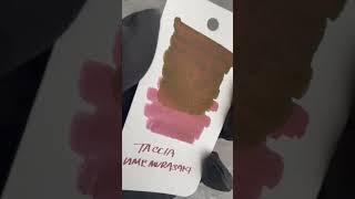 Ink Swatch TACCIA Fountain Pen Ink  Ume Murasaki [upl. by Vinaya]